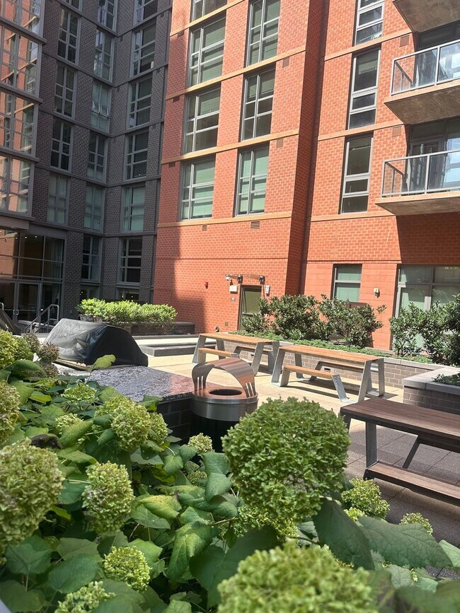 Building Photo - 1 Bedroom 1 Bath Condo Near Capitol Hill