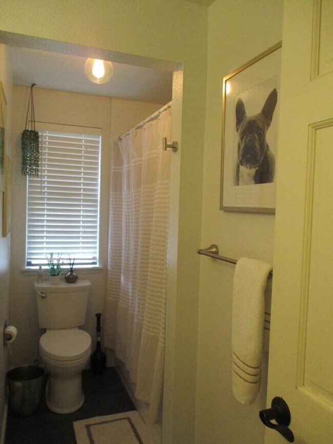 Building Photo - 3 Bedroom, 2.5 bathroom split level home in University Place
