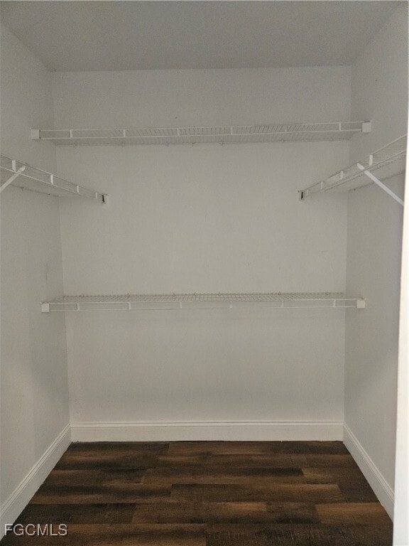 Building Photo - 713 Palmetto Ave