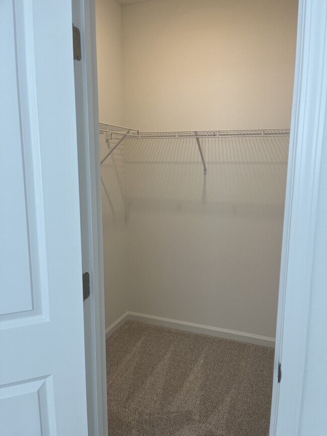 Building Photo - 207 Silver Myrtle Ct