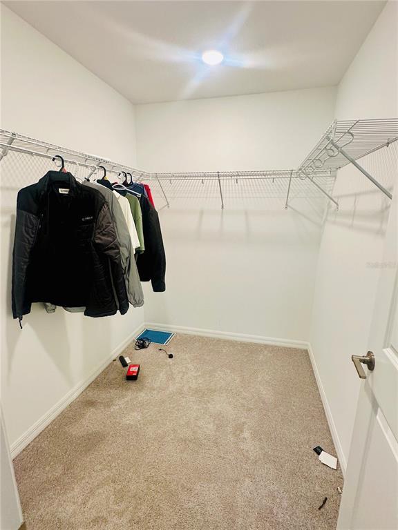 Building Photo - 187 Brinsmead Rd