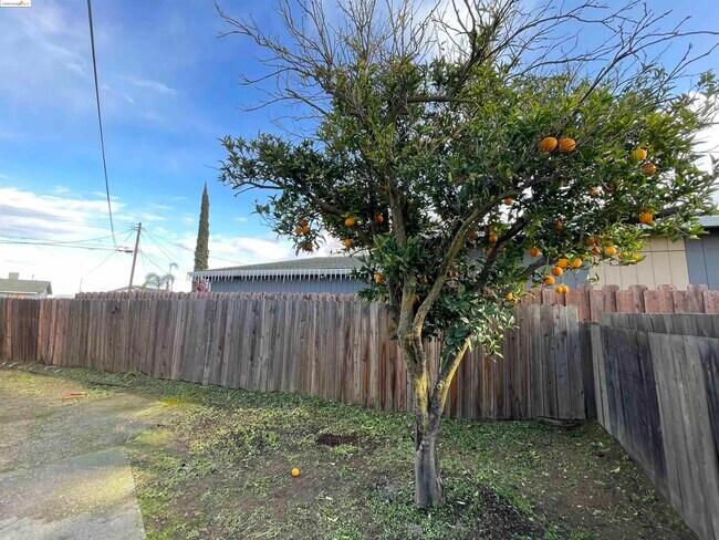 Building Photo - 32 O Neil Ct