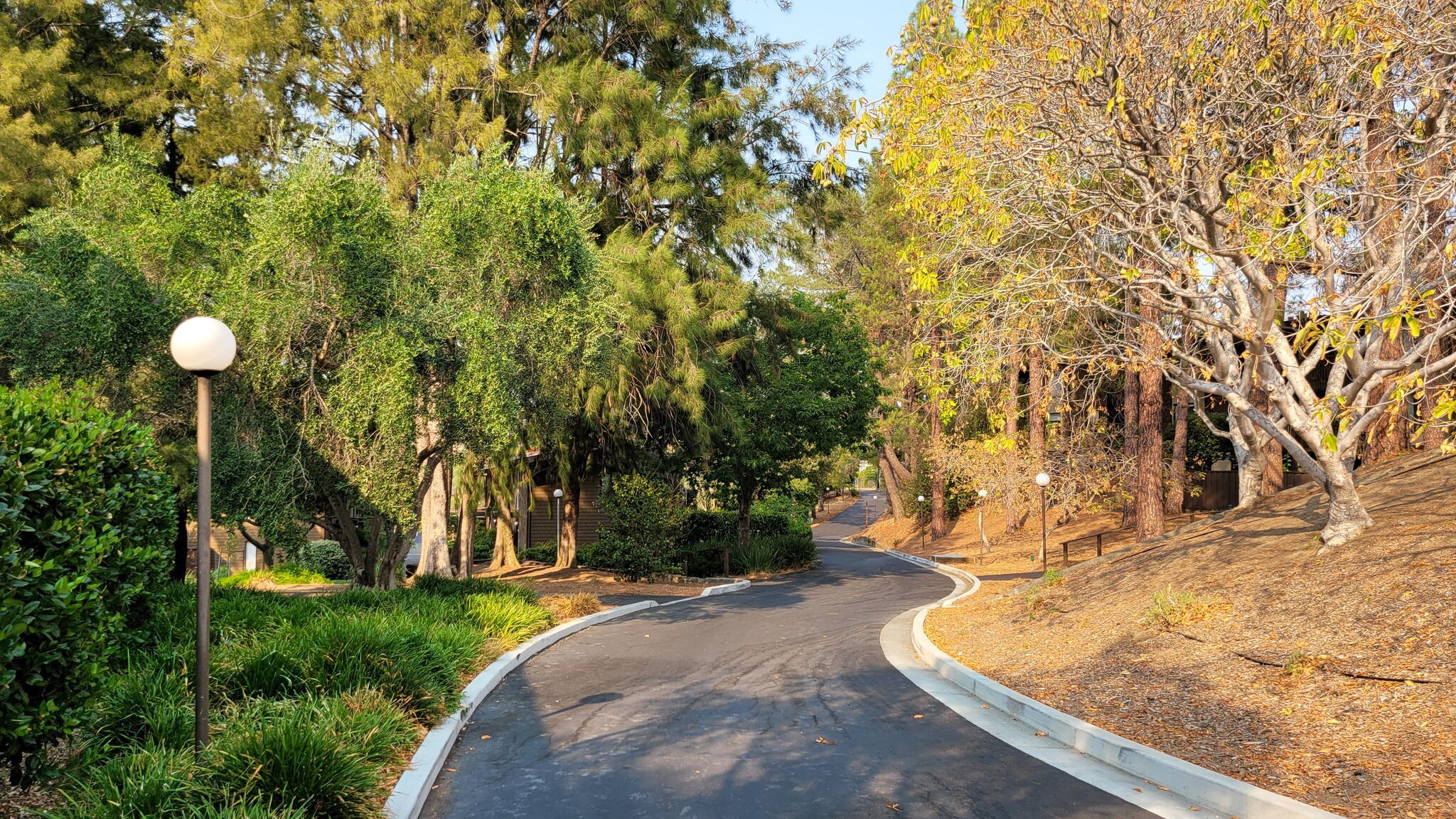 The inner complex fire road is free of vehicular traffic, to enjoy quiet walks - 72 Surrey Ln