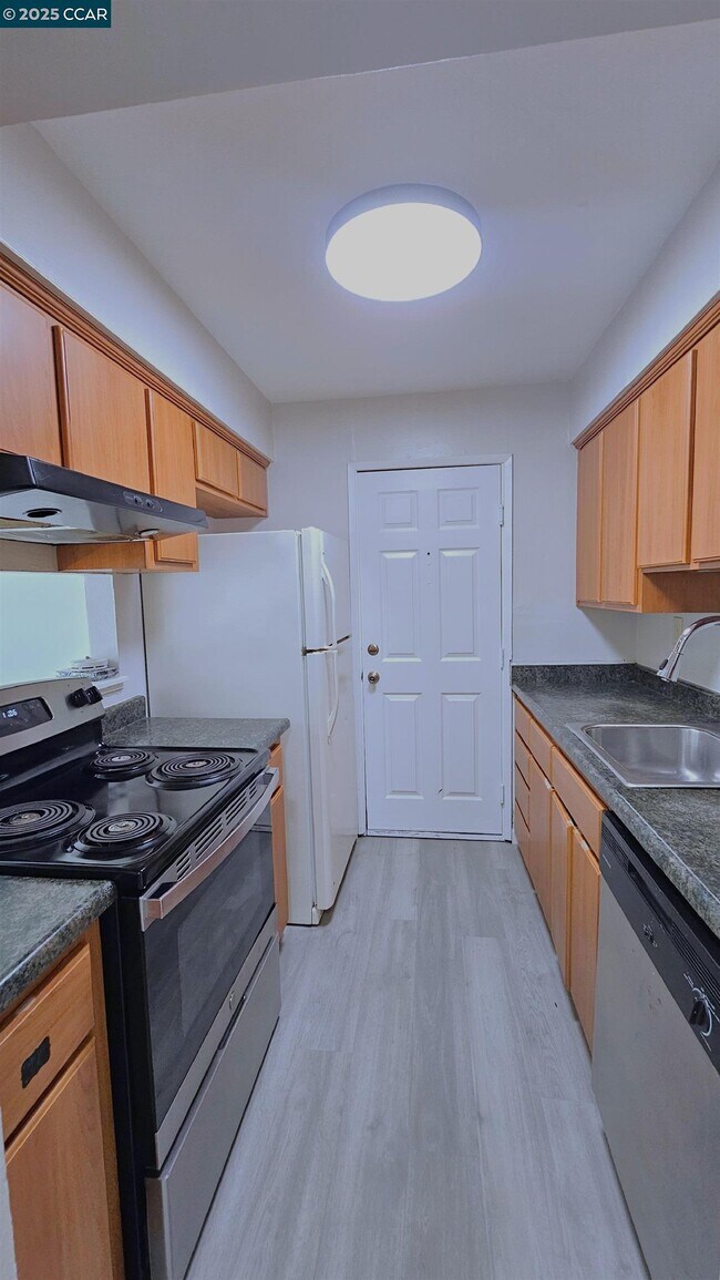Building Photo - 1446 Del Rio Cir