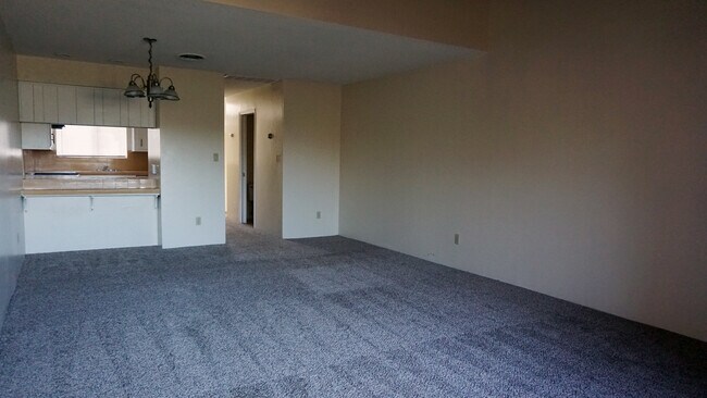 Building Photo - 2531 Olive St