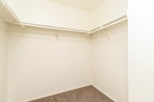 Building Photo - 11710 Sandy Stream Dr