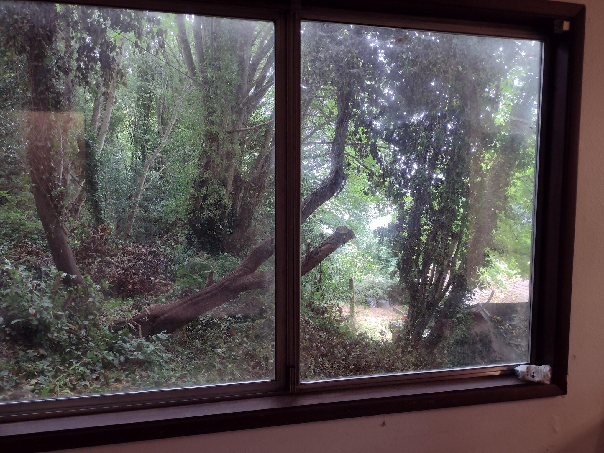 garden - 1037 Vine Ave