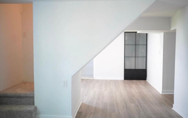 Basement - 310 Saint Augustine St