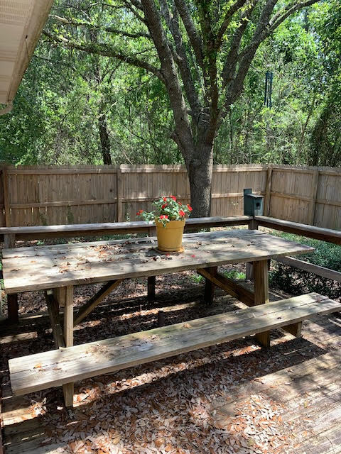 Building Photo - 556 Aila St