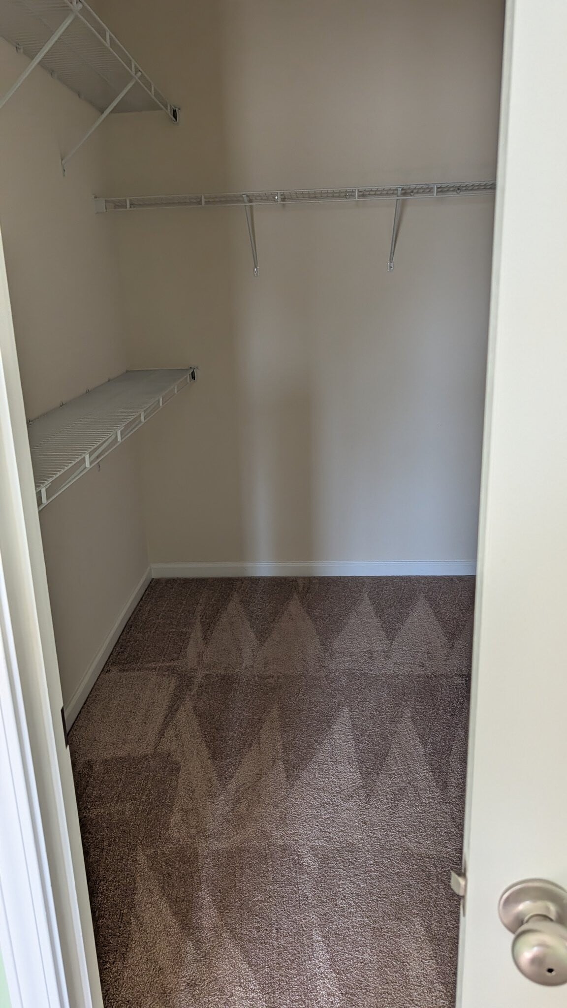 Building Photo - 409 Arecales Dr