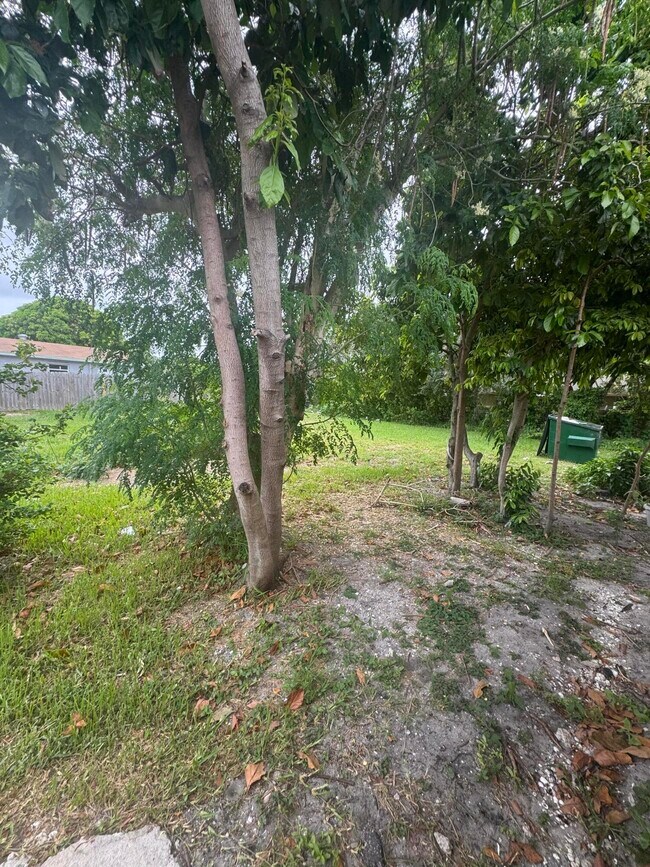 Building Photo - 4903 Serafica Dr
