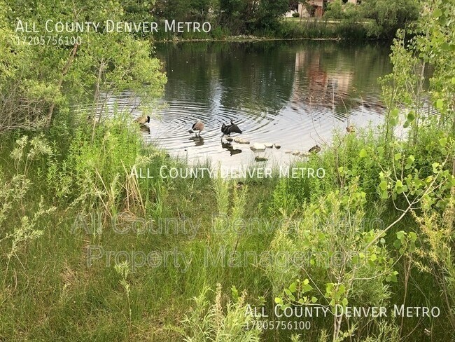 Building Photo - 5014 Everett St