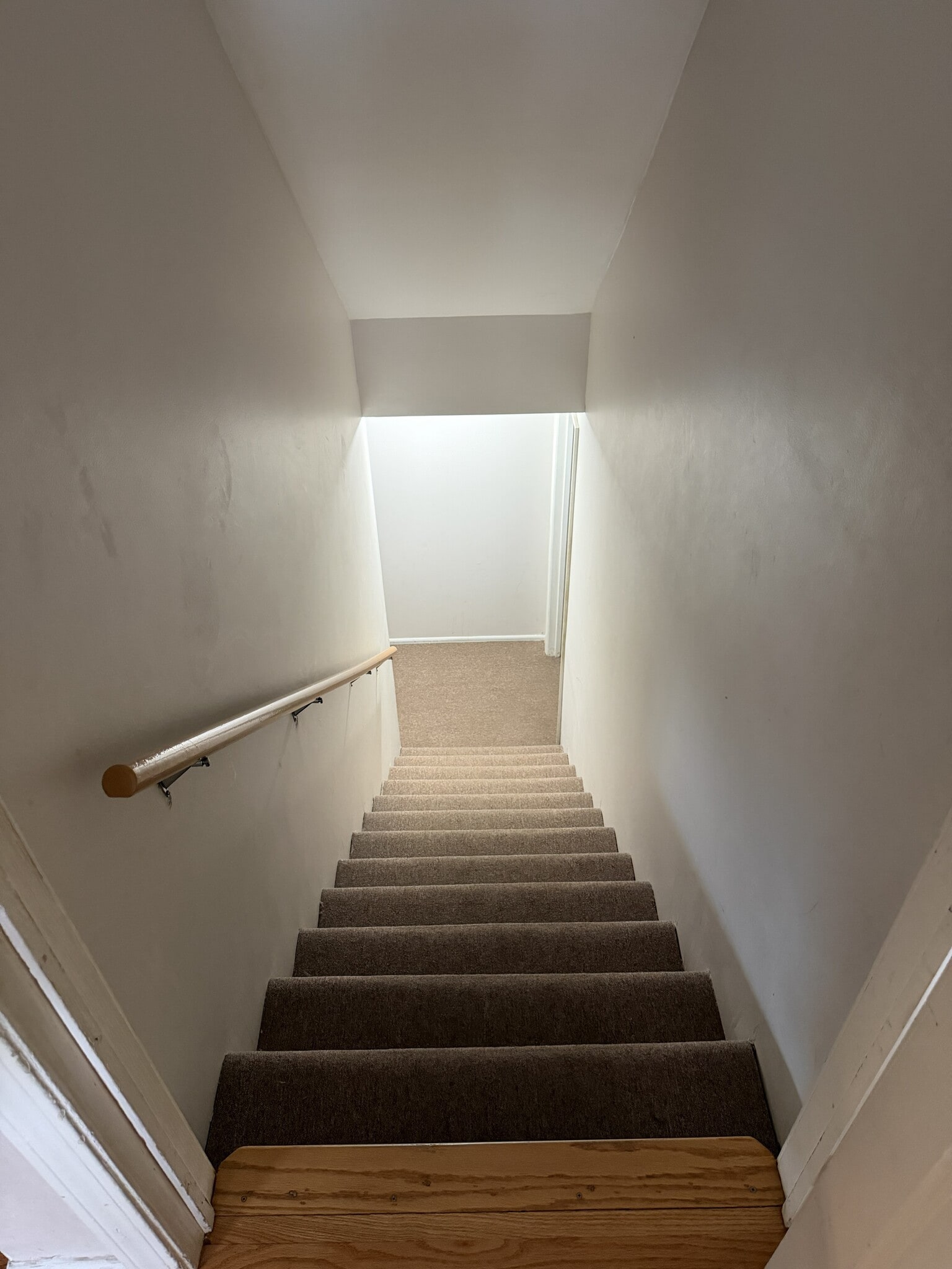 Building Photo - 361 Chicory Ln