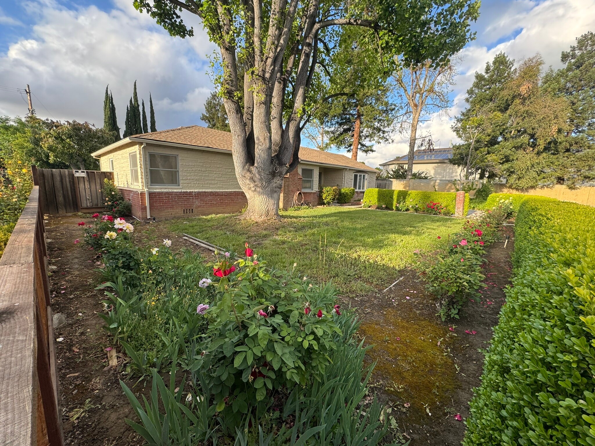 Front - 3185 Oriole Dr