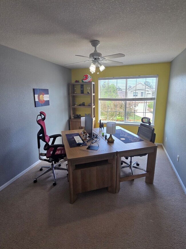 Building Photo - Fantastic Castle Rock 4 Bed 2 1/2 Bath Founders Village Home