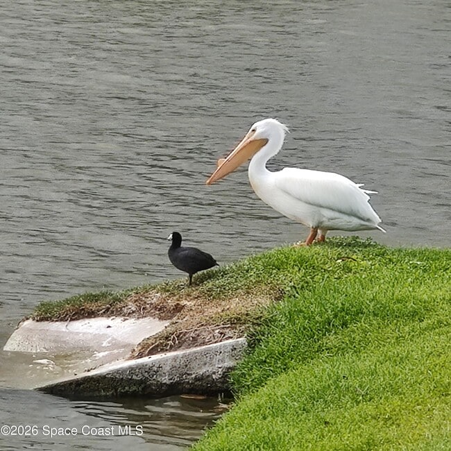 Building Photo - 2061 Tiburon Ln