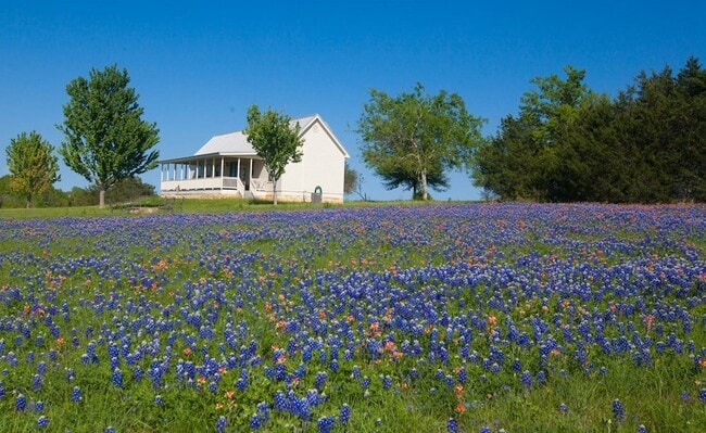 Primary Photo - 3831 Meadow View Ln