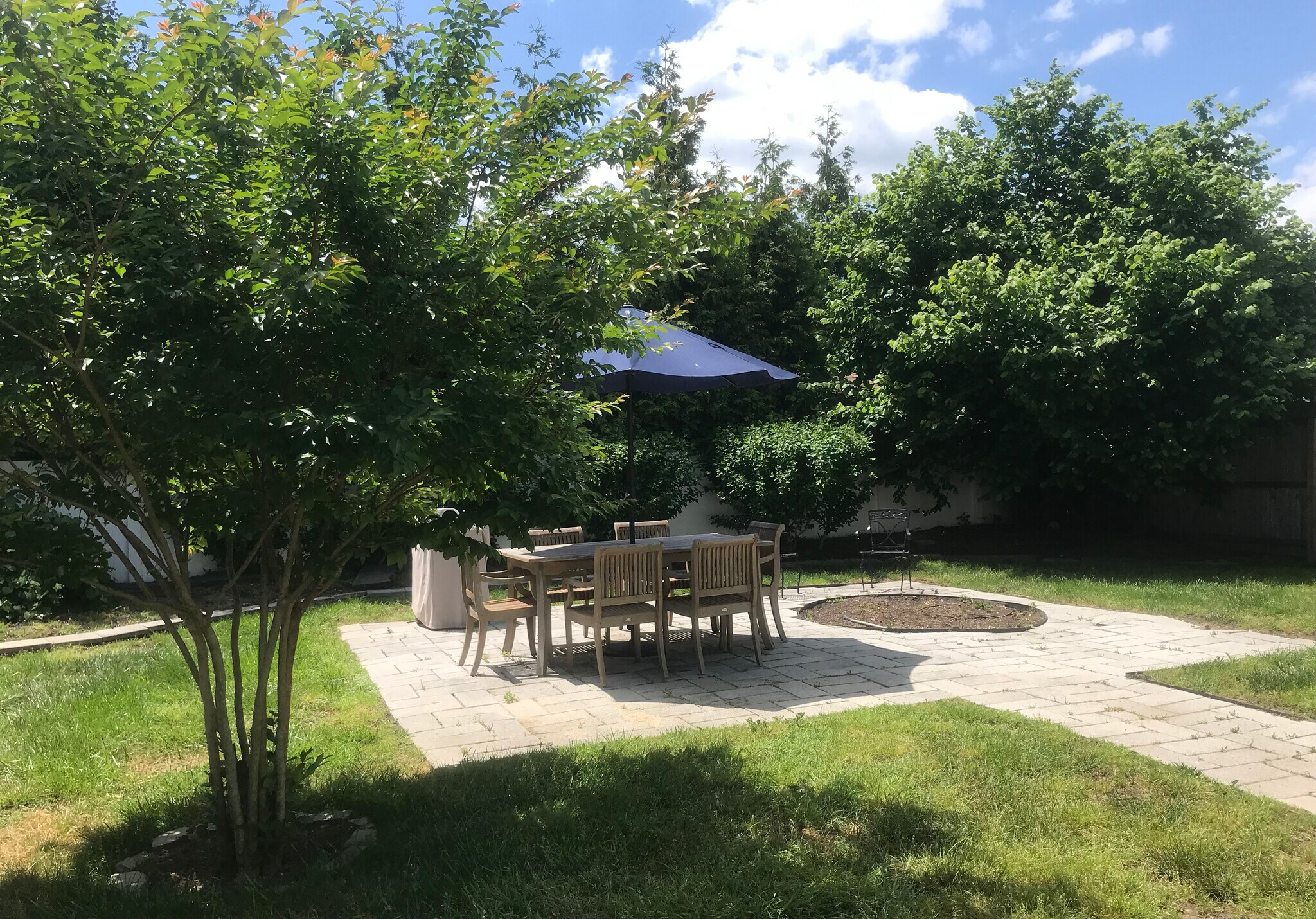 Backyard with Crape Myrtle Trees - 8 Calvert Ave