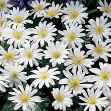 Building Photo - 189 Sublimity School Rd