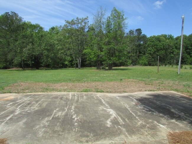 Building Photo - Steeplechase Subdivision, Close to Shaw AFB!
