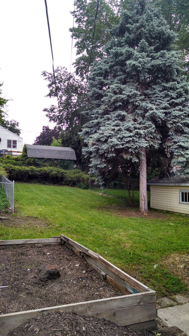 Building Photo - 3 Bedroom Morton Meadows Home for Rent - Close to Everything!