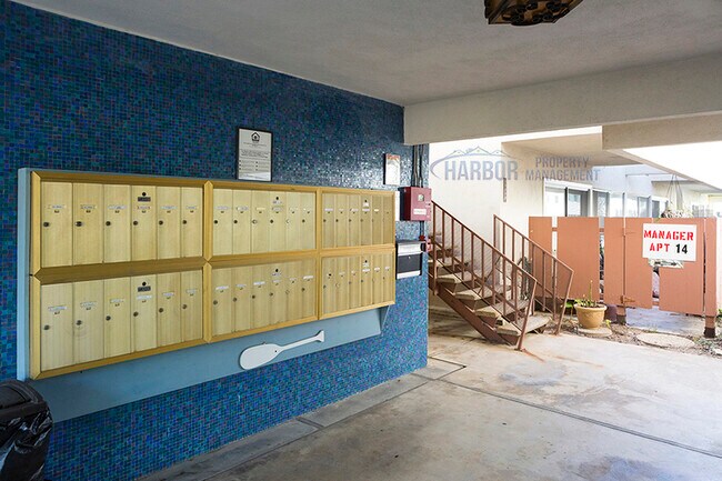 Building Photo - The Dolphin Cove Apartments