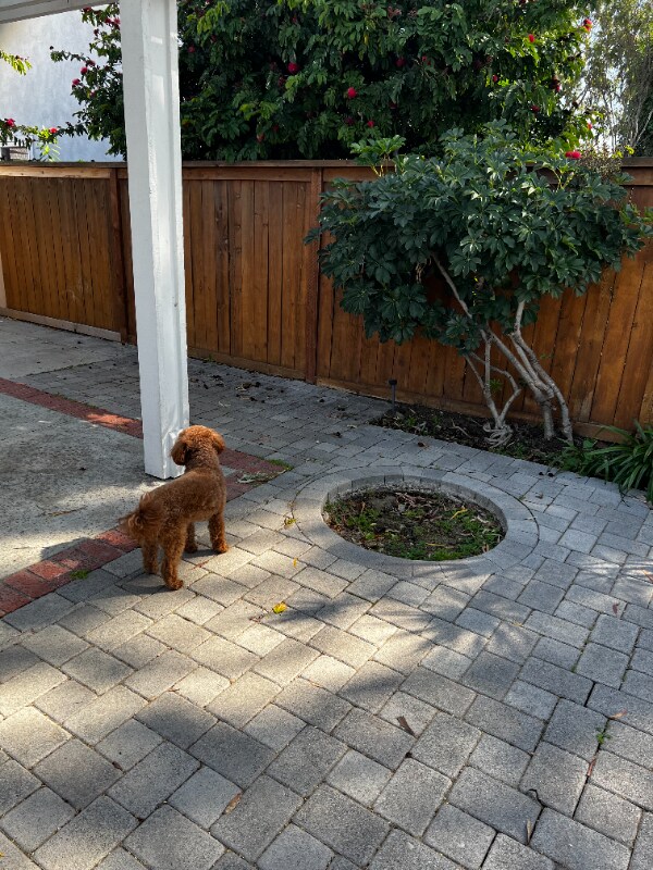 Building Photo - 20 Portside