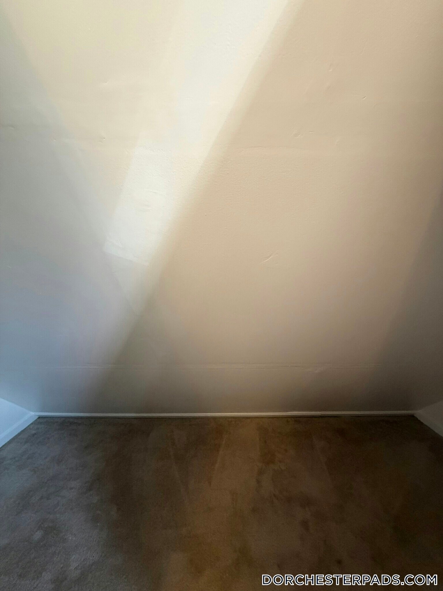 Building Photo - 393 Adams St