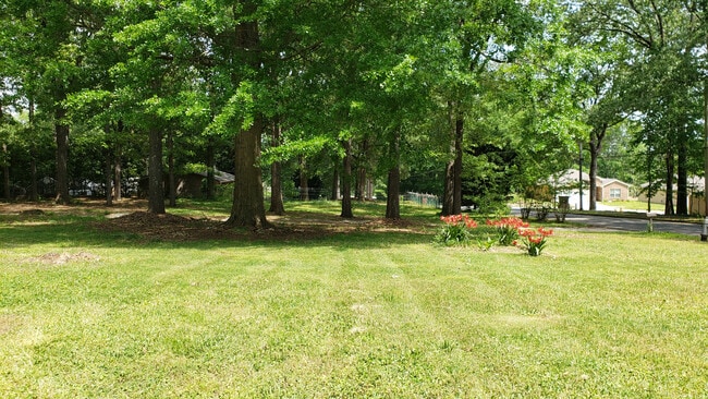 Building Photo - COMING SOON!!! Perfect Little Ranch with Charm and Character