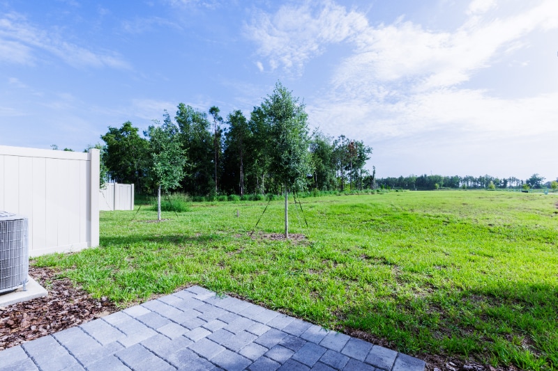 Building Photo - 3316 Thicket St