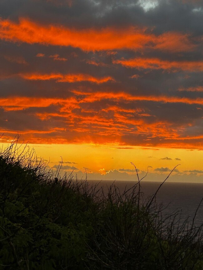 Building Photo - 38 Pebble Beach Rd