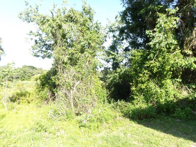 Building Photo - Spacious 4 Bedroom 2236 Sq Ft Call Carole Arcaro 386-216-4900 Deltona L Realty