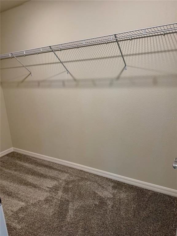 Building Photo - 3646 Oceanic Cv