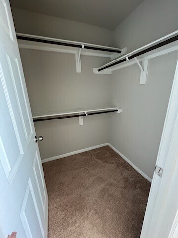 Building Photo - 6407 Innsbruck Meadows Ln