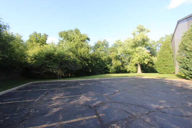 Building Photo - 727 Elm Ln