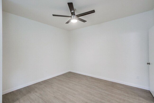Building Photo - XL Studio - Newly renovated with large wal...