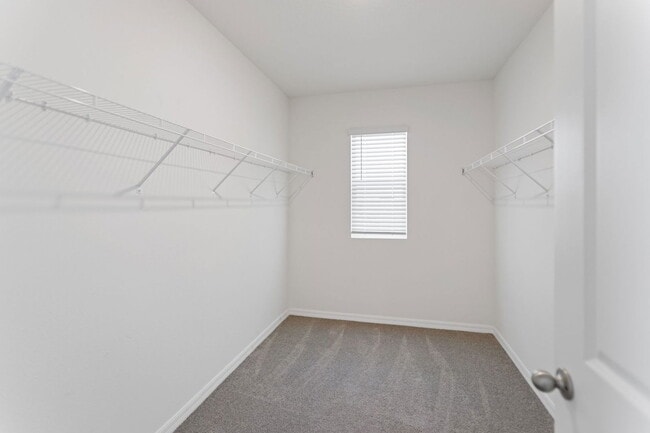 Building Photo - 5557 Birch River Trl