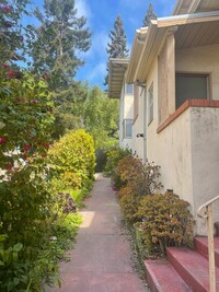 Building Photo - 2665 Virginia St