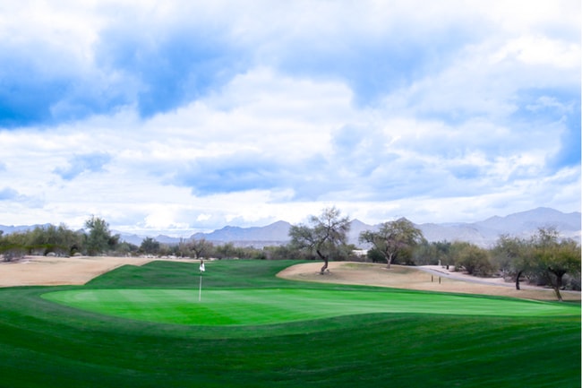 Building Photo - 3Bed/2Bath Home in Rio Verde! Move-In Read...