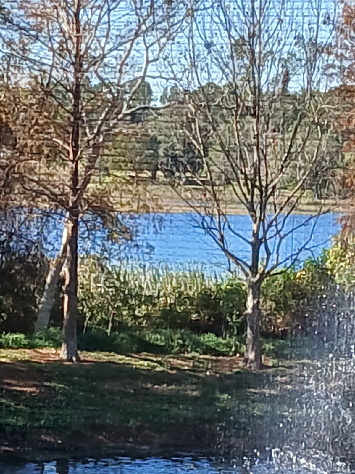 Building Photo - 3368 Robert Trent Jones Dr