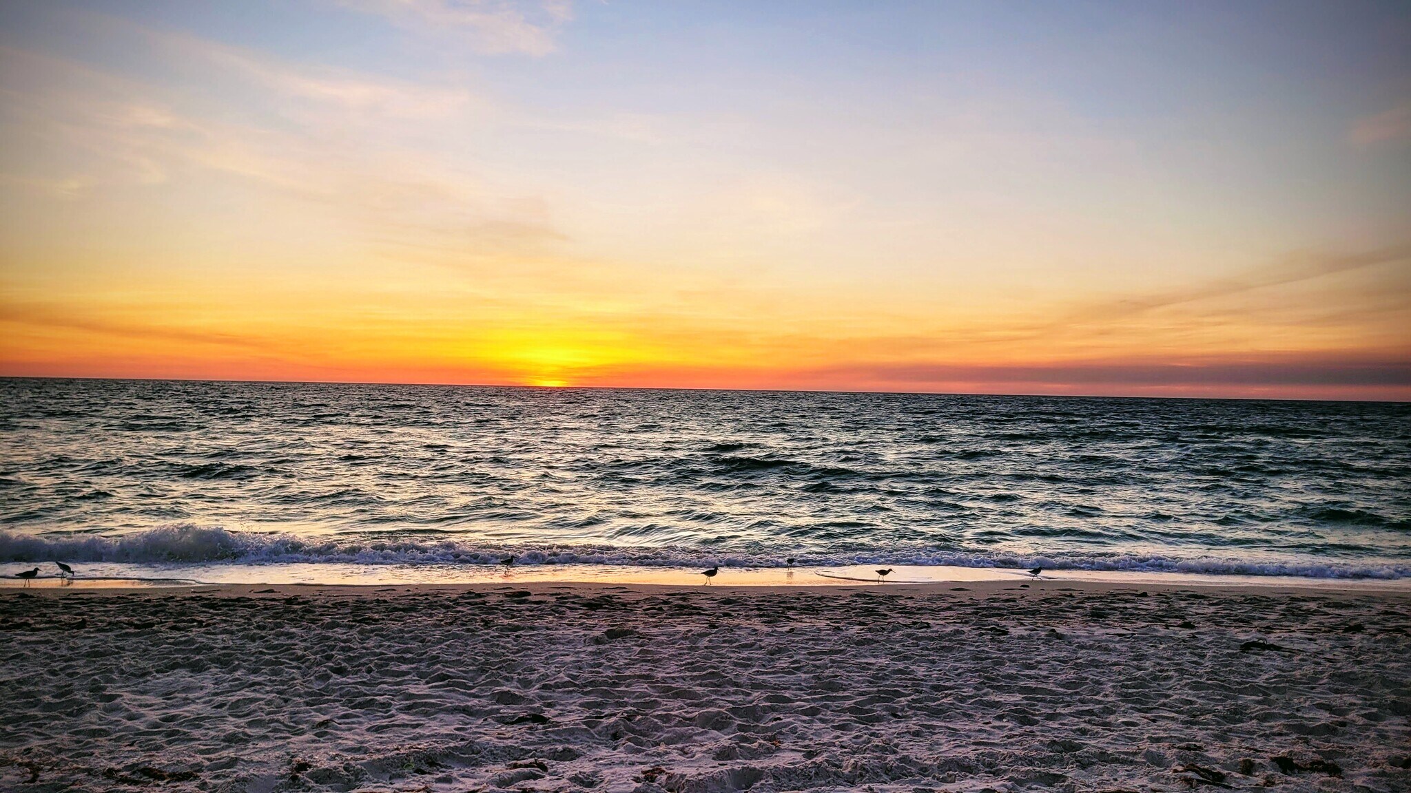 Building Photo - 186 Pebble Shores Dr