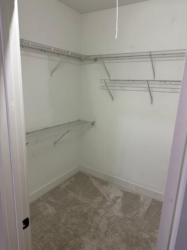 Building Photo - 141 Singapore Cir