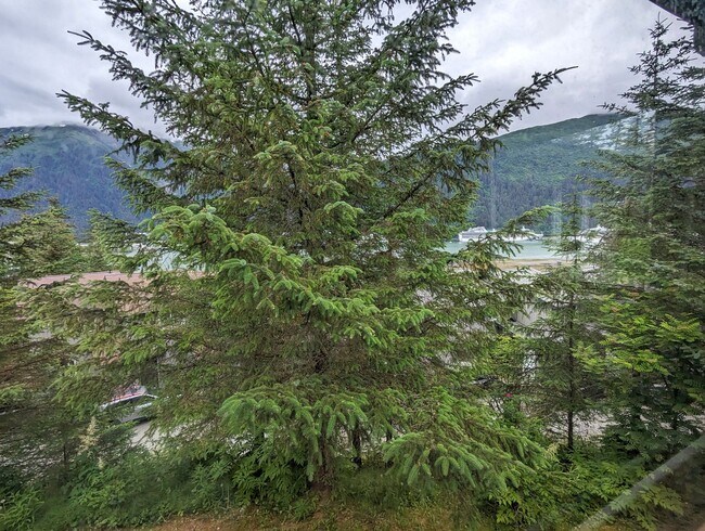 Building Photo - 2BD/1.5BA Twnhse Style Forestedge Condo on...