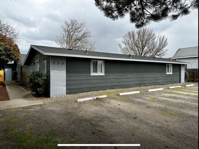 Building Photo - Cute One Bedroom Apartment in Central Medford | Available Mid December