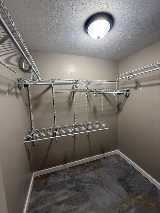 Building Photo - 2157 Windy Cove Ln