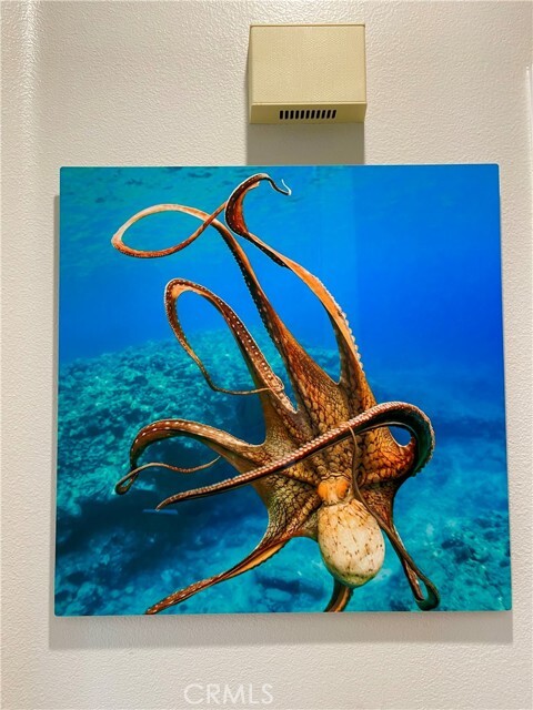 Building Photo - 7543 Quiet Cove Cir