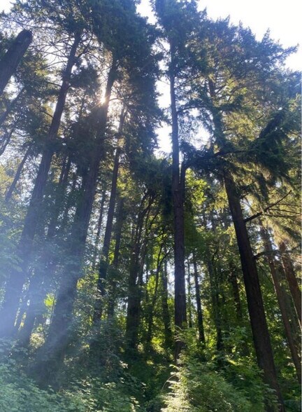 Building Photo - 2804 NW 199th St