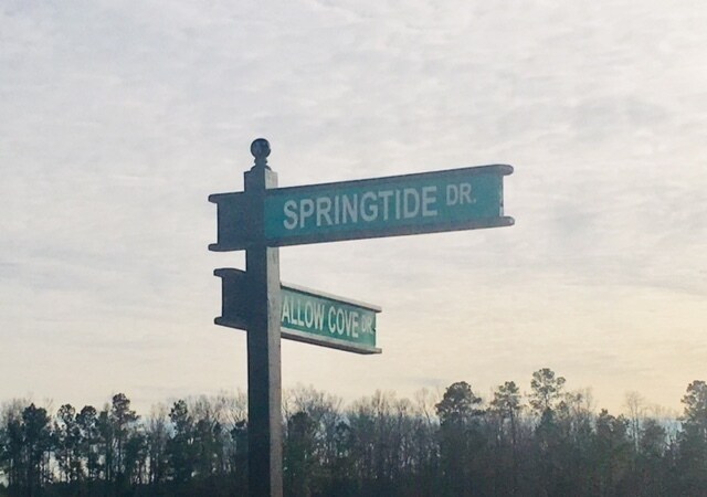 Building Photo - 139 Springtide Dr