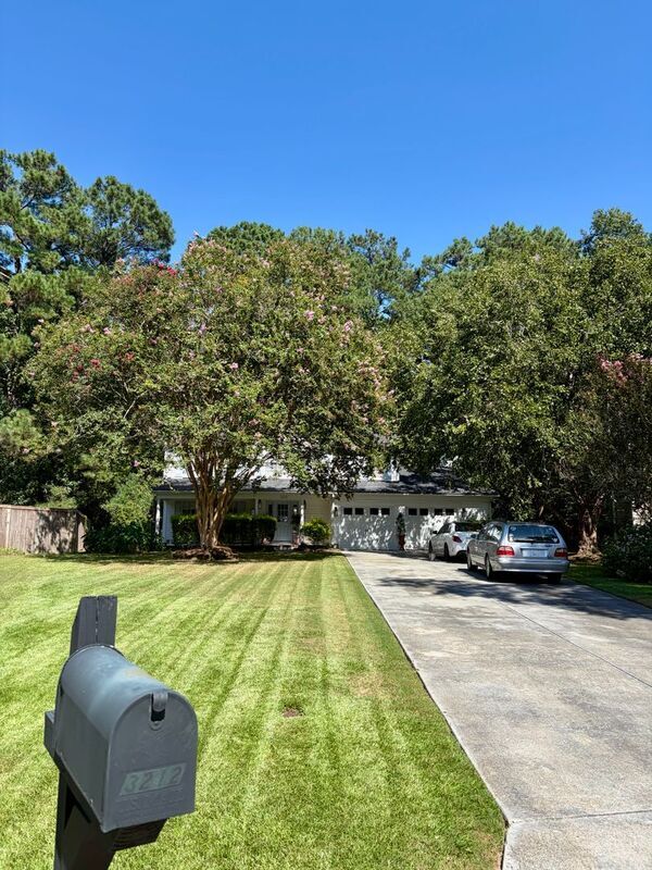 Building Photo - 3212 Rose Walk Ct