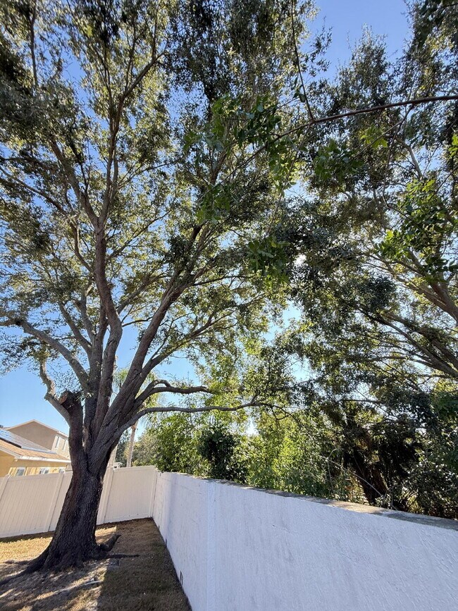 Building Photo - Beautifully remodeled 6 bedroom - 3 bath home in Summerfield Village